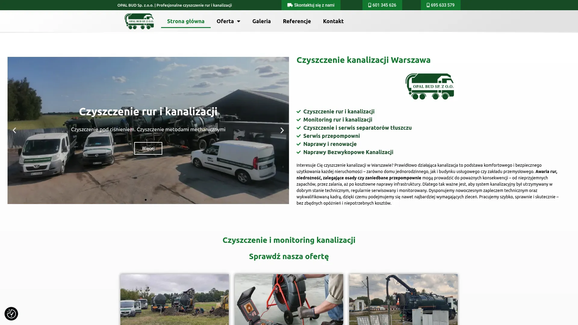 Zrzut ekranu strony internetowej